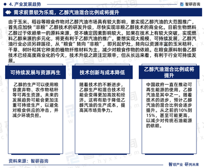 2024-2030年中國乙醇汽油行業(yè)發(fā)展現(xiàn)狀調(diào)查及市場分析預測