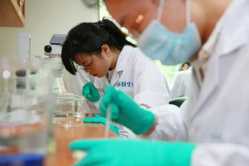 杭州環(huán)特生物科技股份 技術咨詢助力生物科技發(fā)展