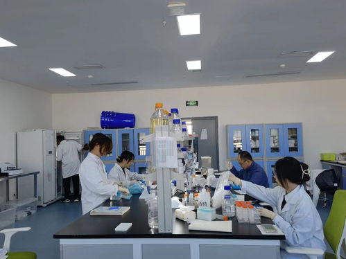 四川推進科技創(chuàng)新領域兩新組織兩個覆蓋 生物科技技術咨詢的新機遇