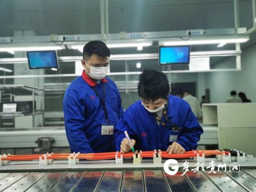 比亞迪貴陽(yáng)弗迪動(dòng)力高壓電氣工廠首批線束產(chǎn)品成功下線，加速高低壓電氣產(chǎn)業(yè)布局